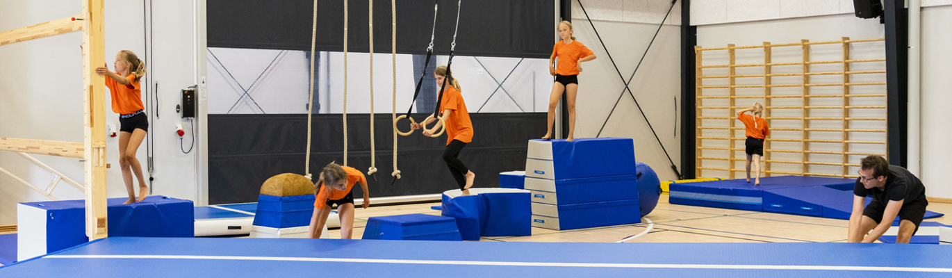 børn leger i gymnastiksal med blå redskaber som ribber, gymnastikringe, plinter og måtter